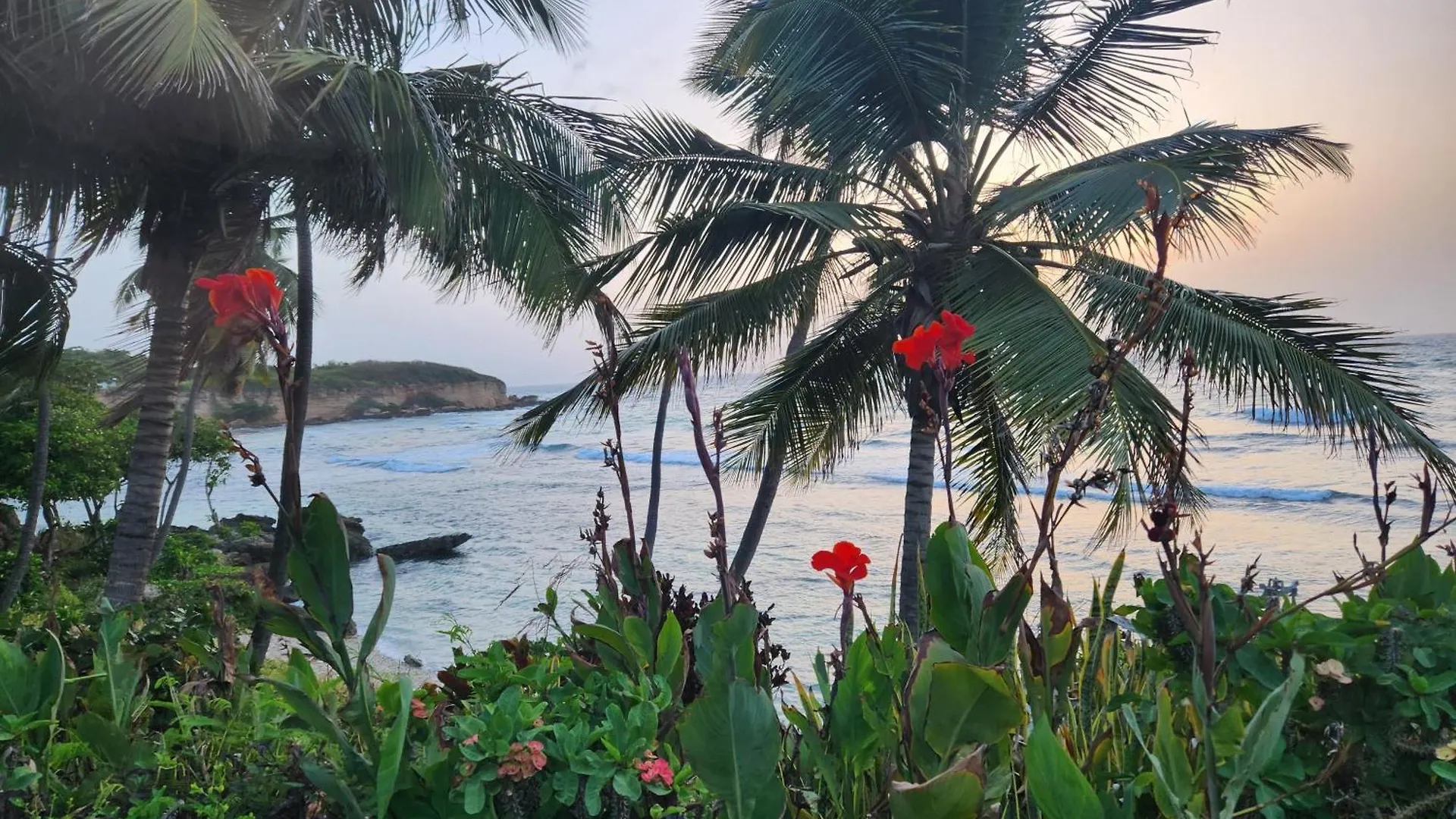 Villa Tesoros Del Mar - Luxury Beachfront Villa With Natural Pool, Jacuzzi, Mountain Views, Yoga, Bbq, Wi-Fi, Pet & Family Friendly, Barahona Adventures